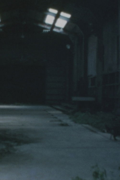 Ruins of Ōkubo poster