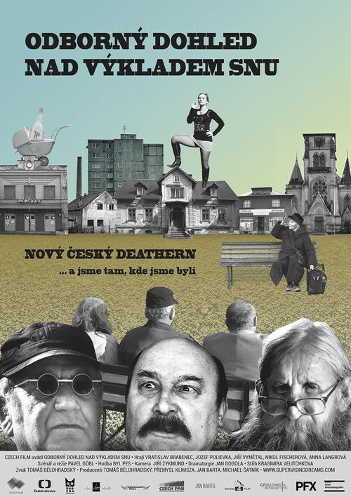 Odborný dohled nad výkladem snu poster