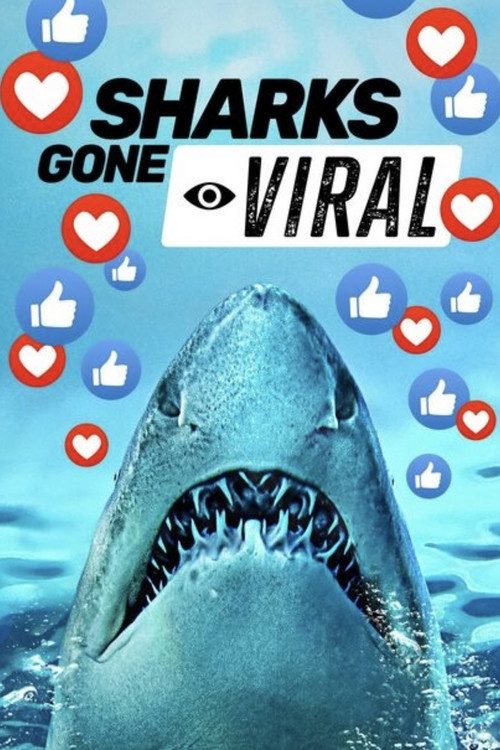 Sharks Gone Viral poster