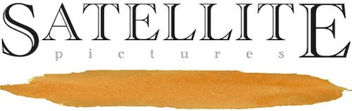 Satellite Pictures logo