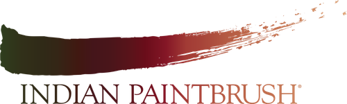 Indian Paintbrush logo