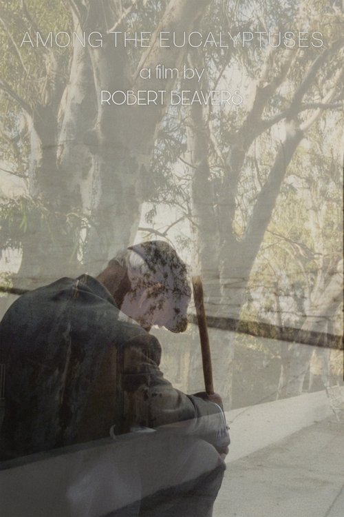 Among the Eucalyptuses