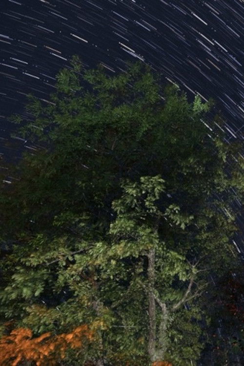 The Summer Triangle poster