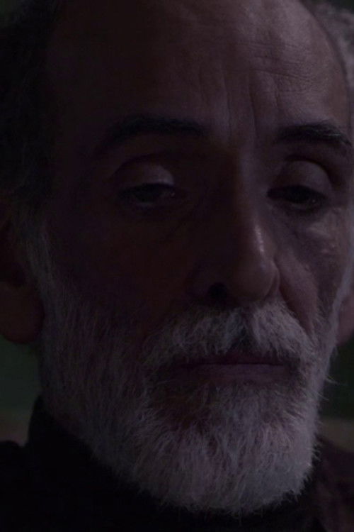 Miguel Zúñiga as Madero