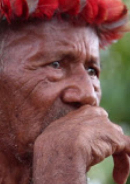 Kayka Aramtem: Saber e tradição de um sábio arukwayane poster