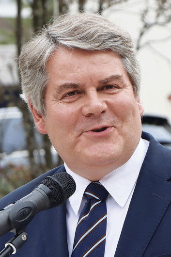 Franck Louvrier as Self