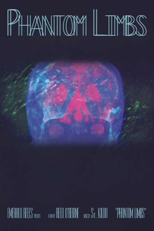 Phantom Limbs poster