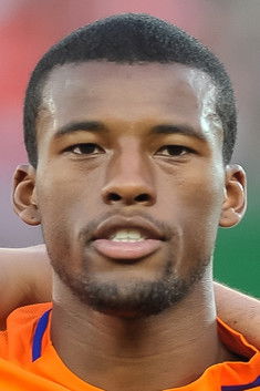 Georginio Wijnaldum profile photo