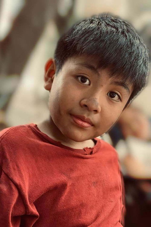 Phạm Duy Anh as Anh Ton