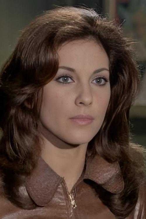 Lisa Leonardi as Stewardess