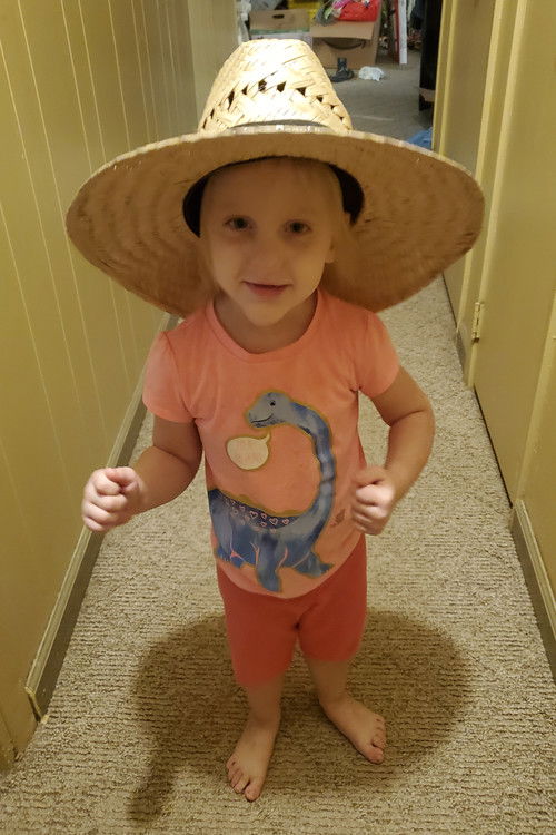 Diana Simpson profile photo