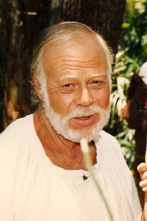 Robert Dunham as Capt. Martin