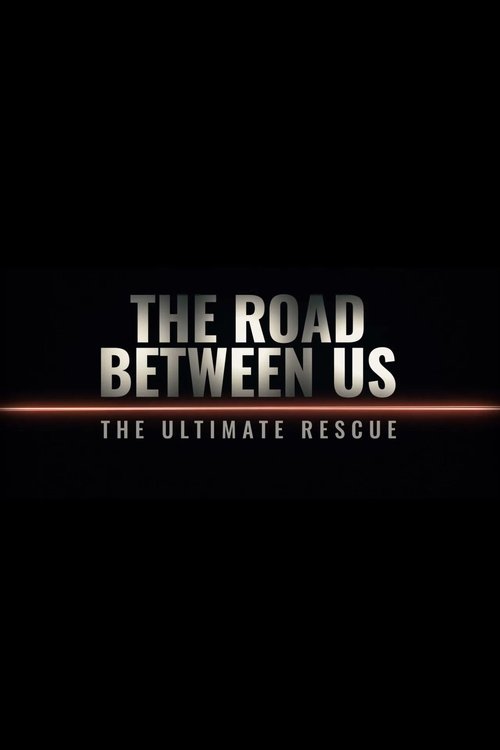 The Road Between Us: The Ultimate Rescue poster