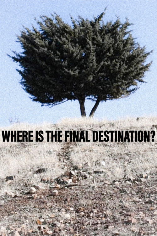 Where is the Final Destination? poster