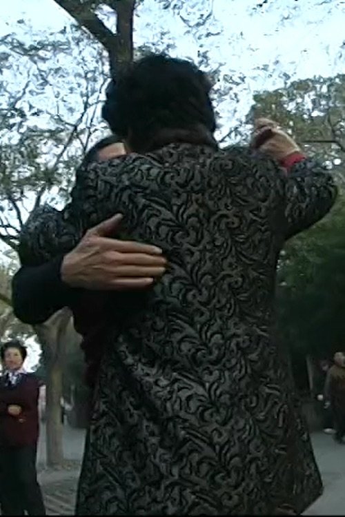 Search for Hamlet poster