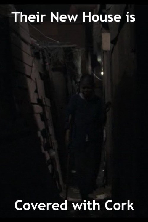 Their New House Is Covered With Cork