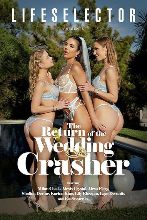 The Return Of The Wedding Crasher