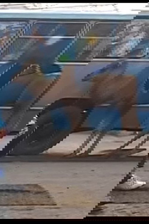 Live and live in Fergana