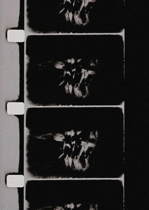 Studies in Image (de) Generation