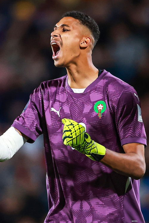 Ibrahim Gomis as Self