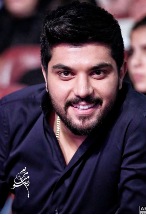 Sina Mehrad as Hamed Tehrani