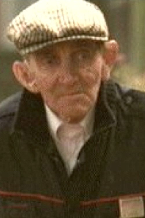 Bill Hallet as Reporter