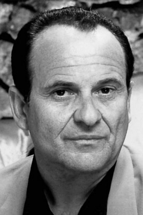 Joe Pesci as Nicky Santoro