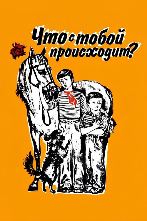 What's Going on with You?