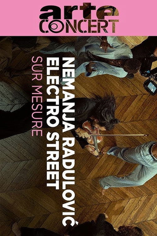 Nemanja Radulović & Electro Street at the Jacquemart-André Museum Paris sur Mesure poster
