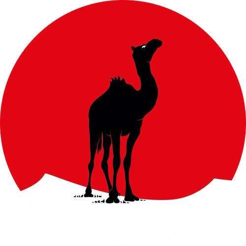 Black Camel Pictures logo