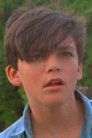 Eric Foster as Young Perry