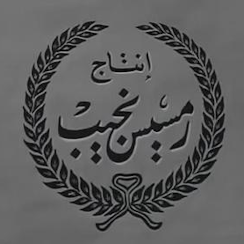 أفلام رمسيس نجيب logo