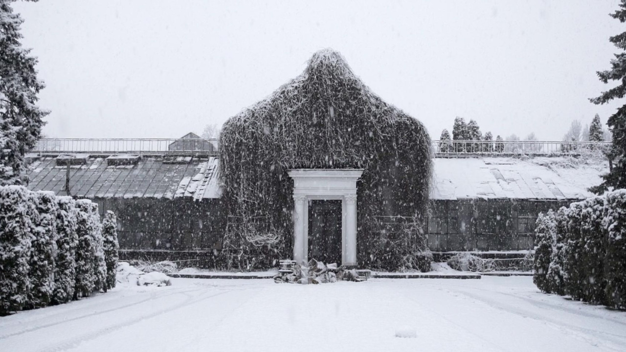 The Winter Garden’s Tale backdrop