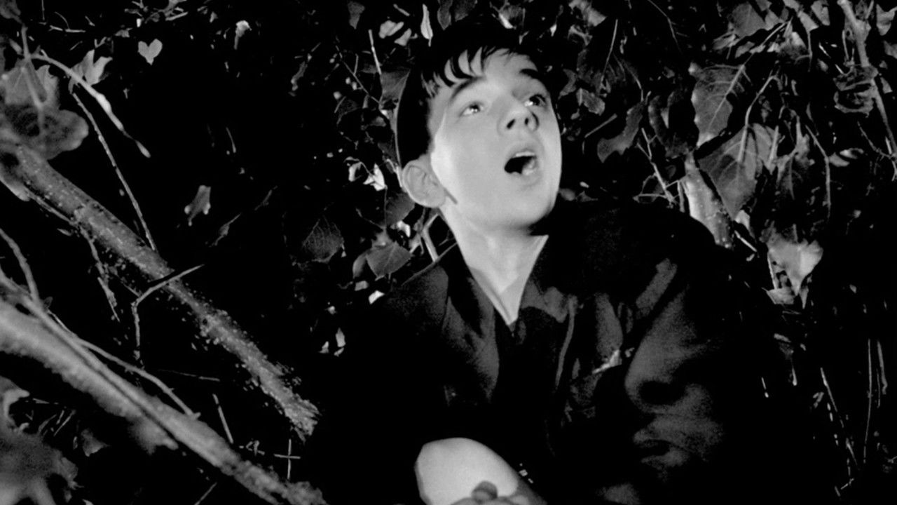 Le Rossignol et les cloches backdrop