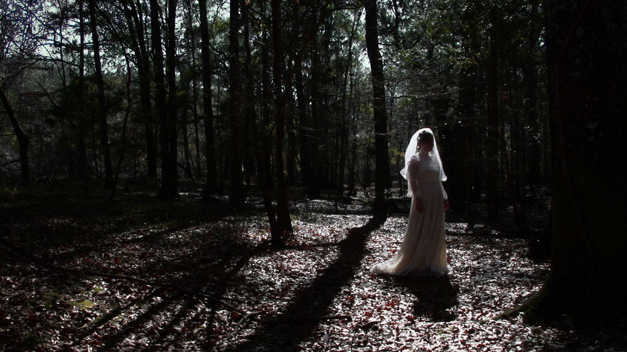 Spirits in the Storm backdrop