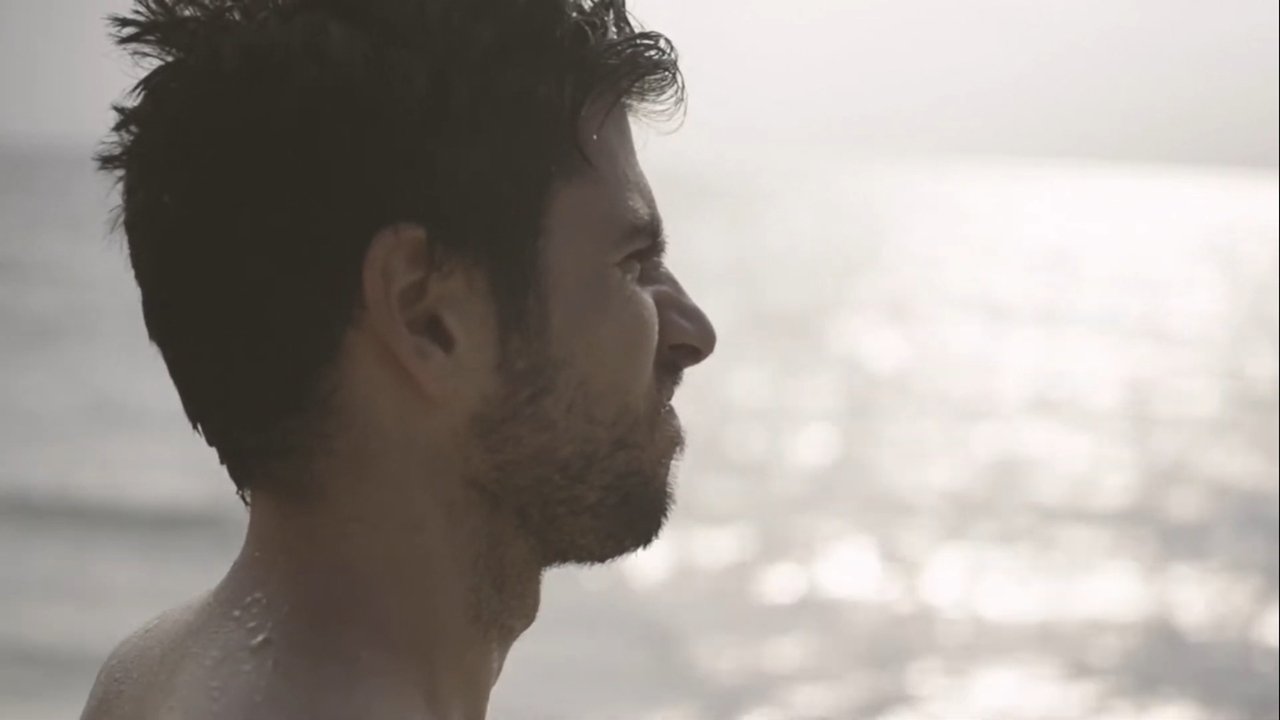 Sexual Animals backdrop