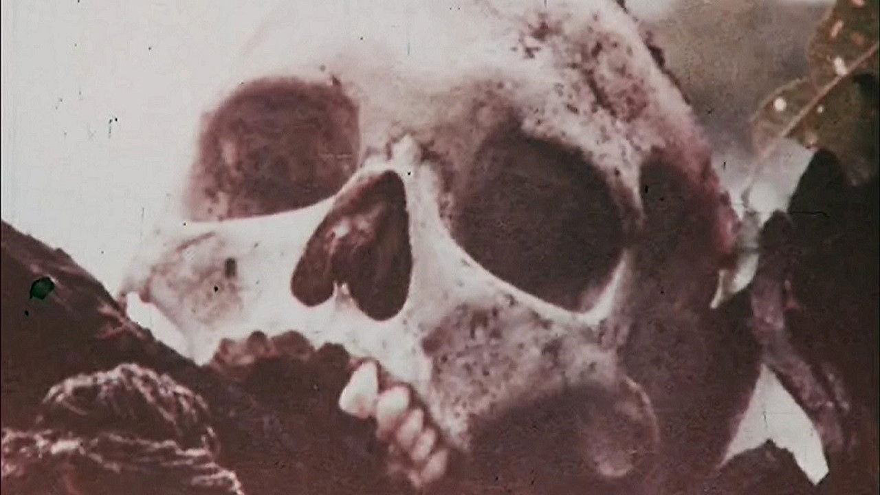 Cannibali - Leggenda o realtà backdrop