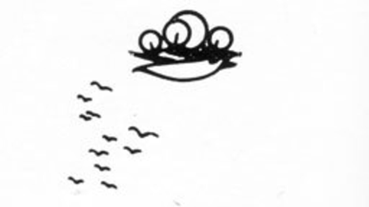 Gô among the birds backdrop