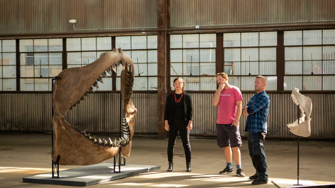 Jaws vs. the Meg backdrop