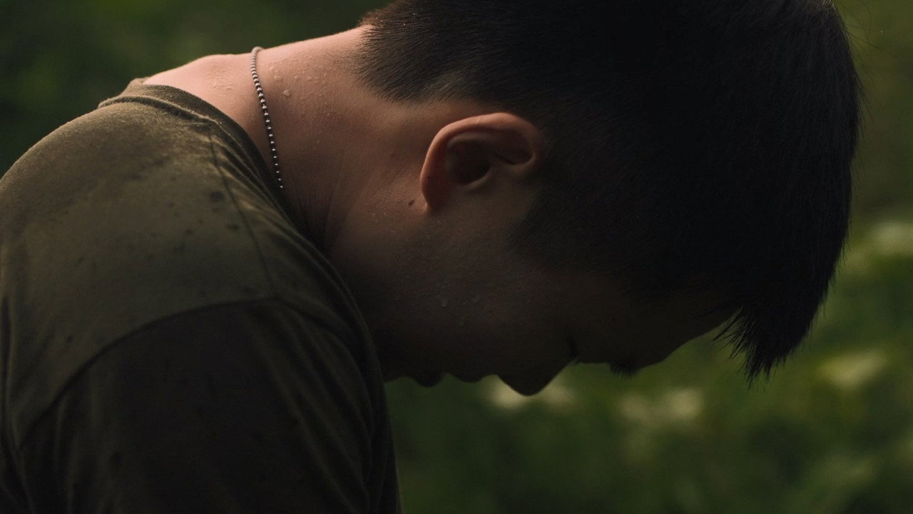 Quiet Fires backdrop