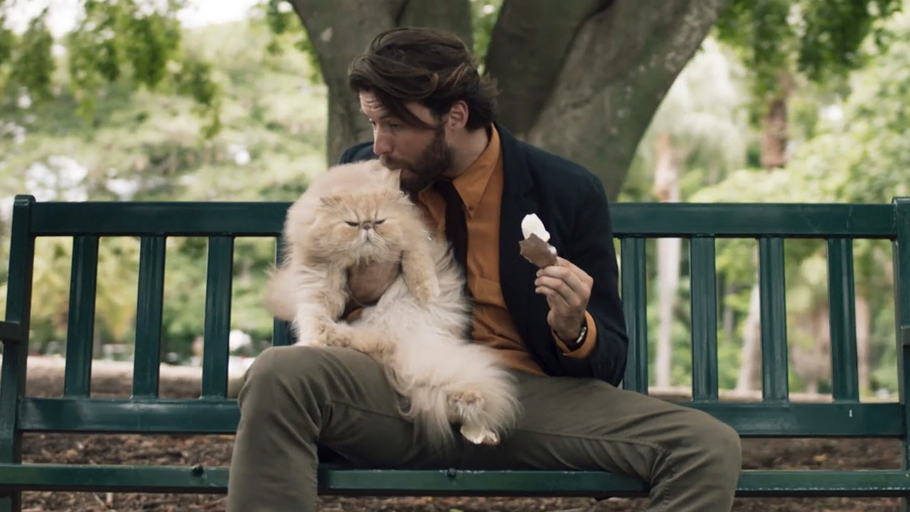 A Man and a Cat backdrop