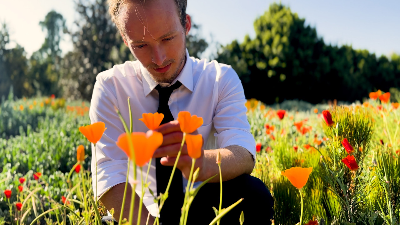 Outside the Box backdrop