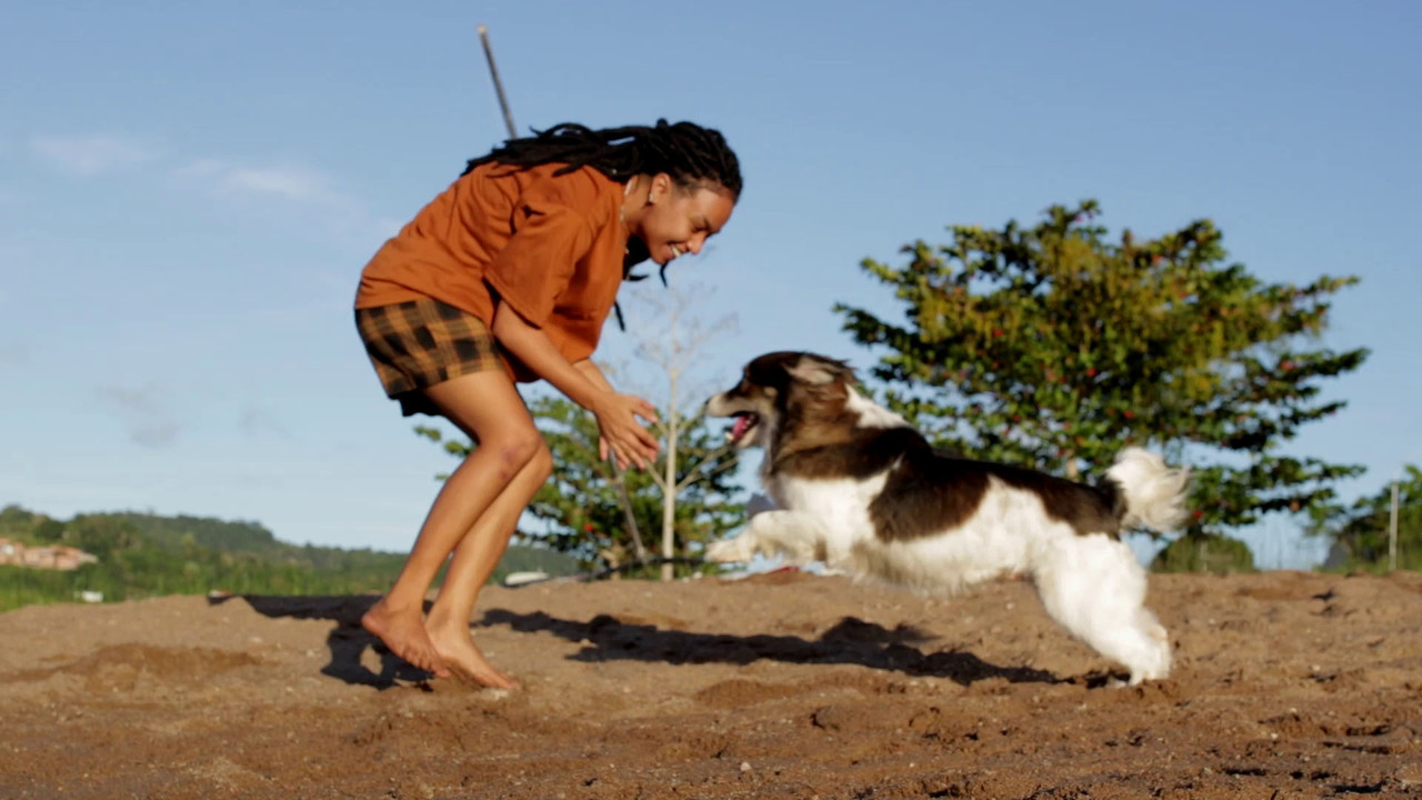 Beethoven's Symphony backdrop