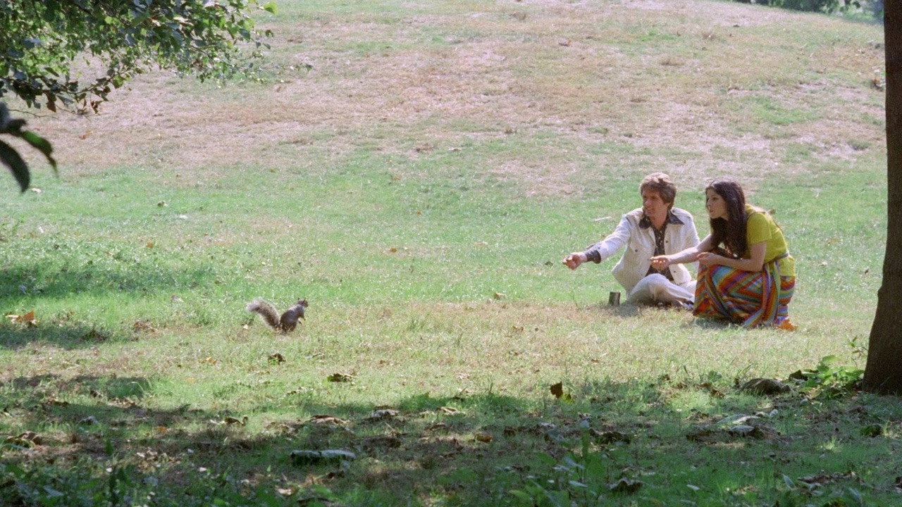 Virgin and the Lover backdrop