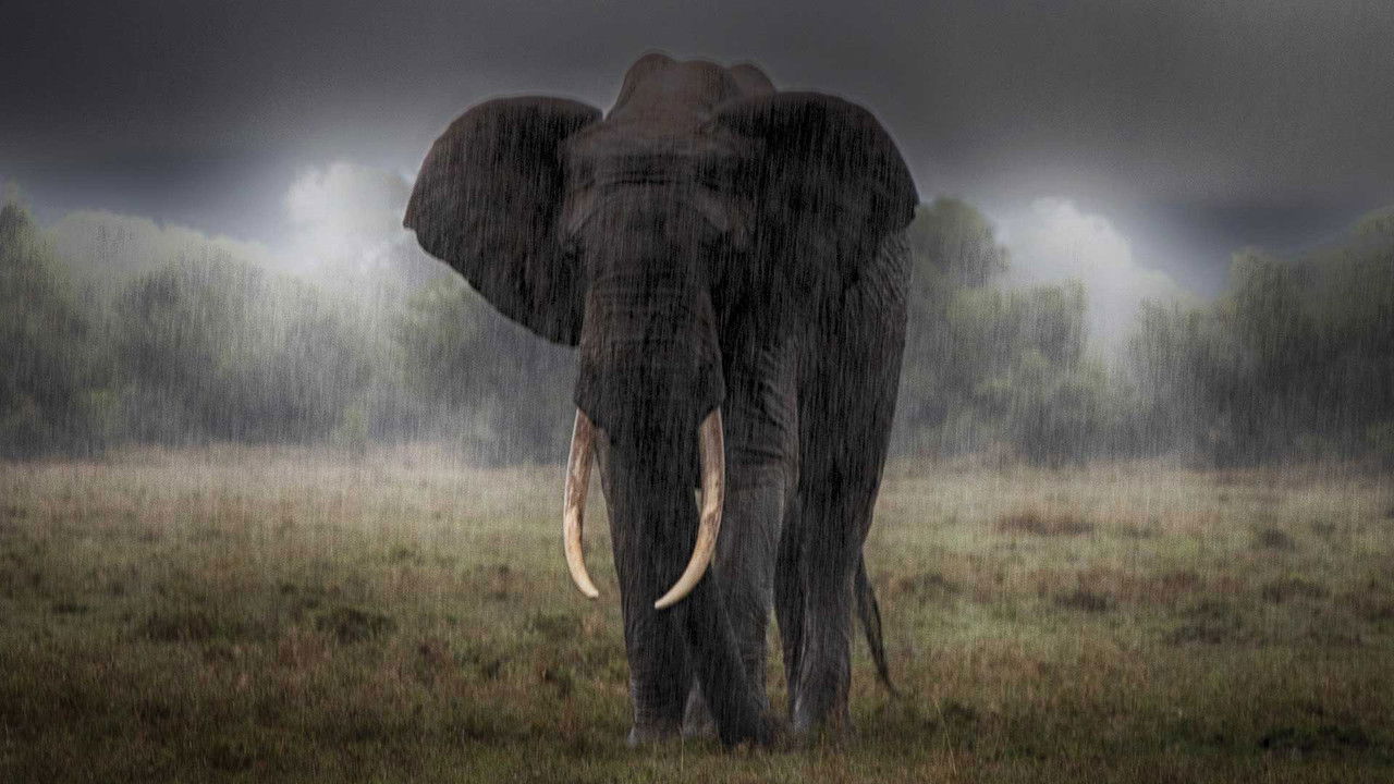 One But Many backdrop