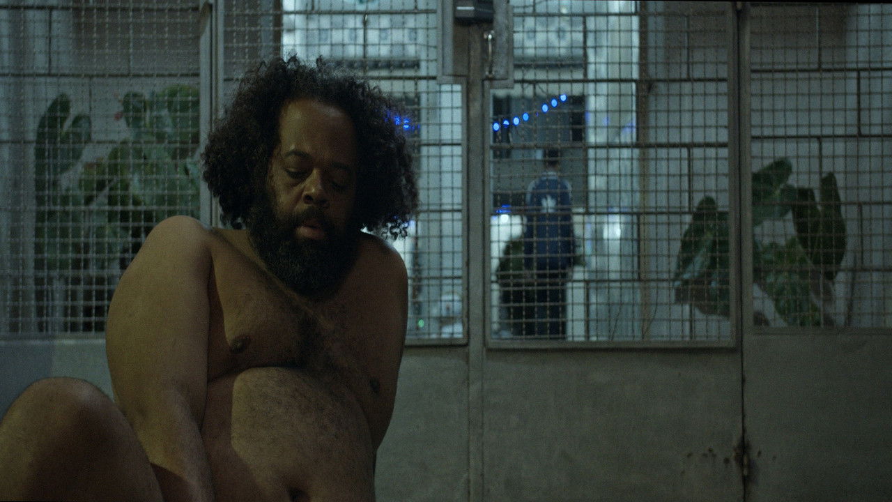 At night all cats are brown backdrop