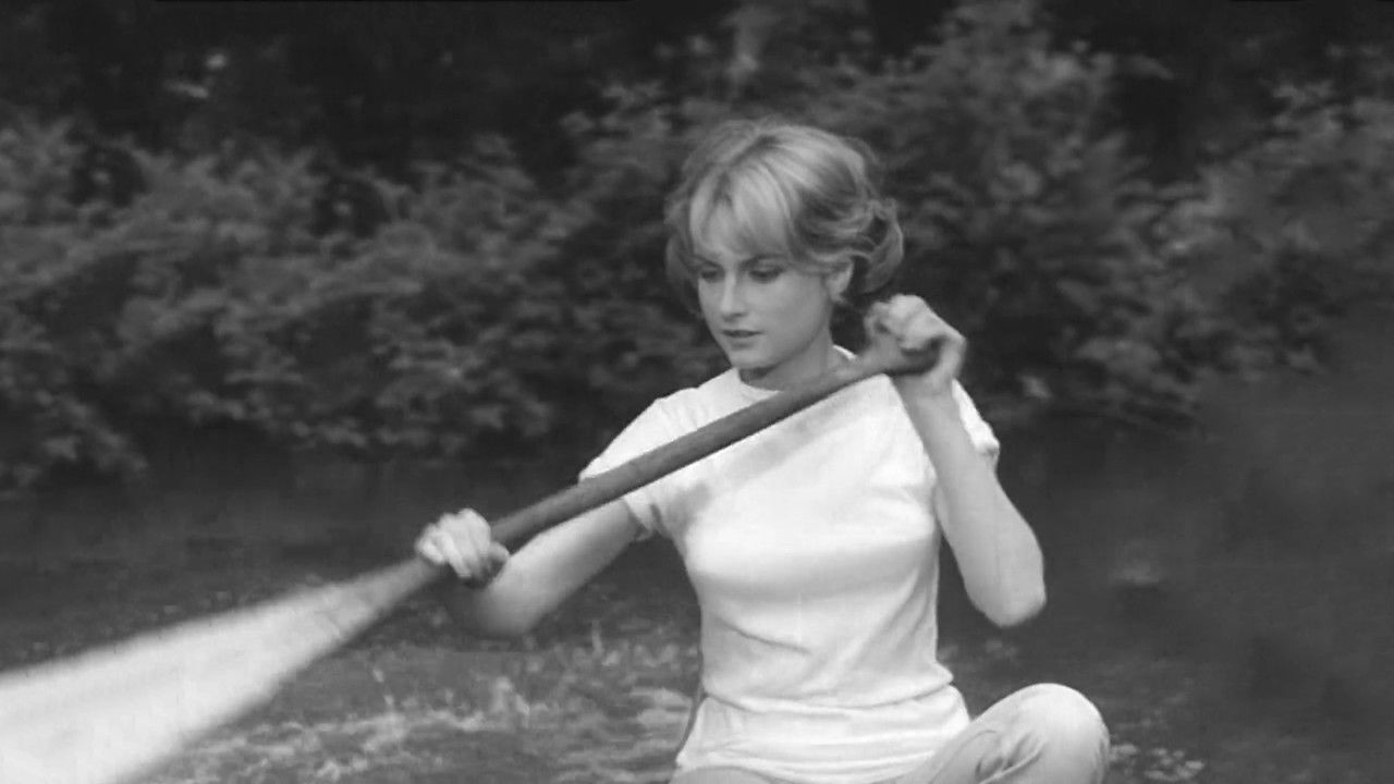 A Bullet in the Gun Barrel backdrop