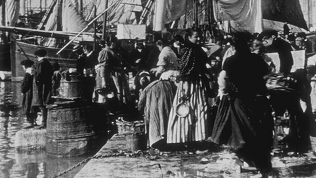 Fish Market backdrop