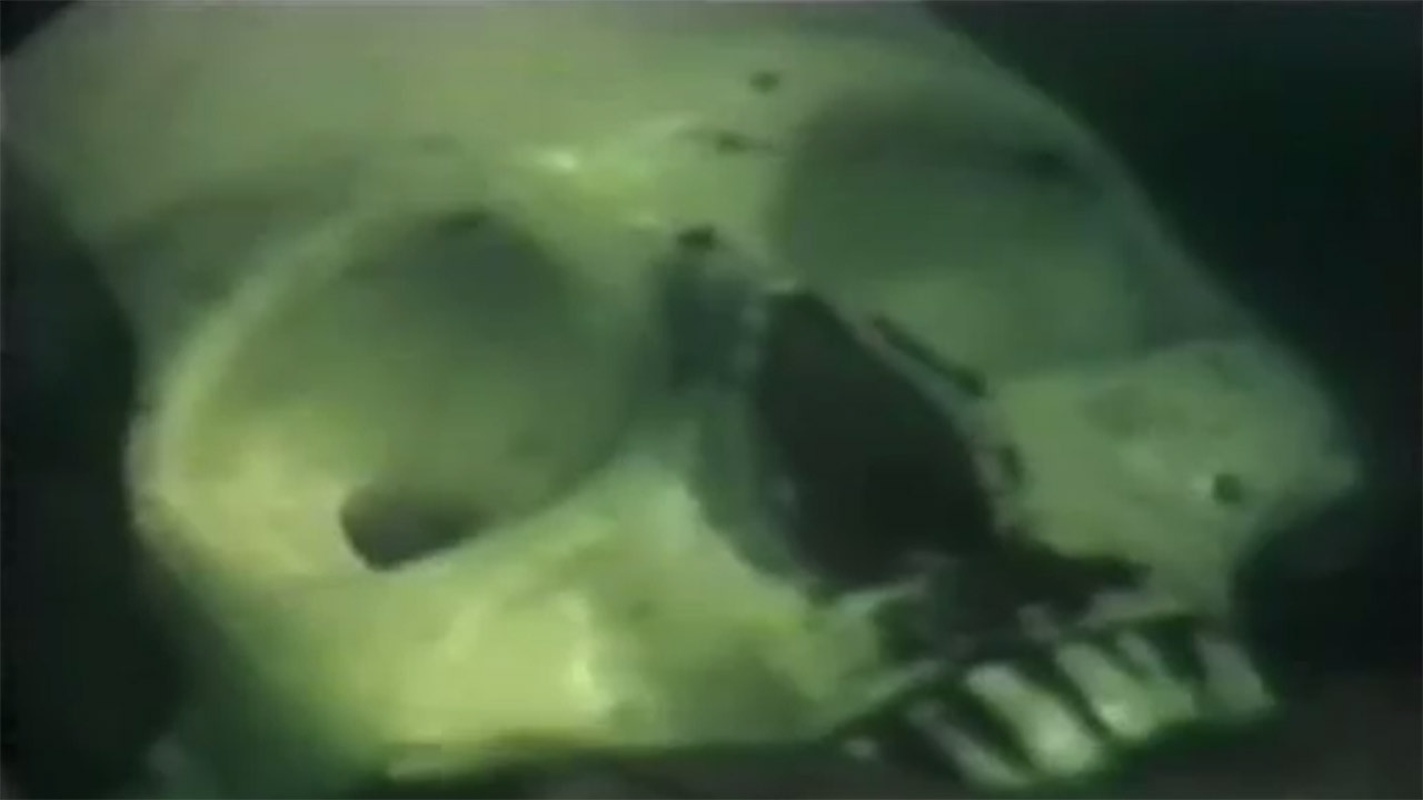 Night of Horror backdrop