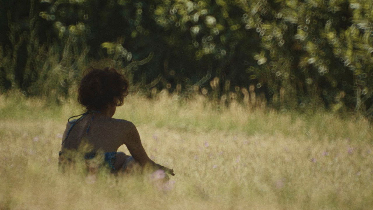 Forse non essenzialmente tu backdrop